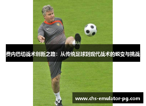 费内巴切战术创新之路：从传统足球到现代战术的蜕变与挑战
