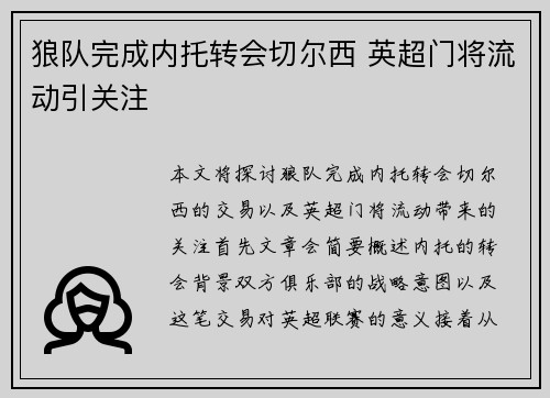 狼队完成内托转会切尔西 英超门将流动引关注
